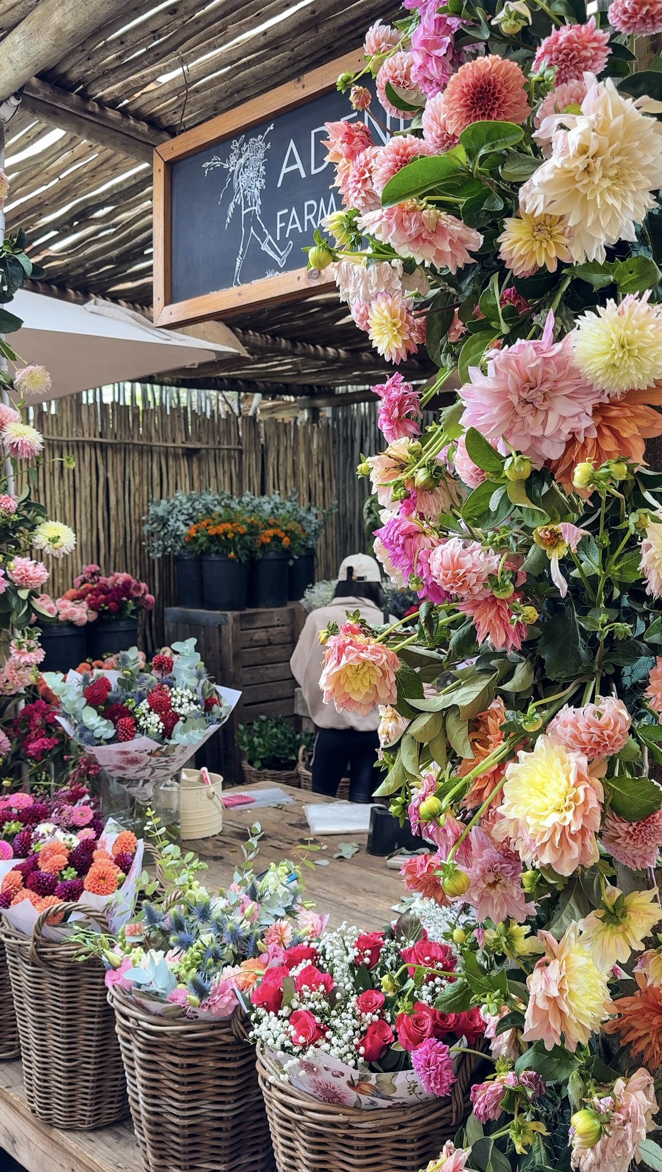 Oranjezicht market in Cape Town, South Africa — Greta Hart